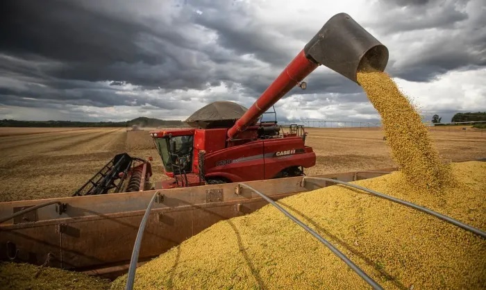 Ponta Porã é a segunda maior produtora de grãos de MS e se destaca com quase 2,4 milhões de toneladas de soja e milho - Foto: Wenderson Araujo/Trilux